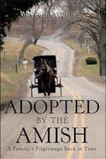 Adopted by the Amish