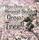 How Does an Almond Seed Grow into a Tree? 