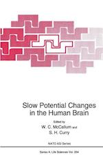 Slow Potential Changes in the Human Brain