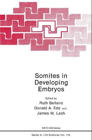 Somites in Developing Embryos