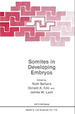 Somites in Developing Embryos