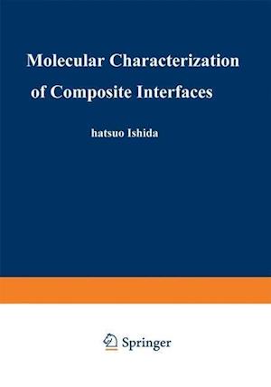 Molecular Characterization of Composite Interfaces