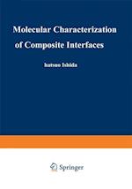 Molecular Characterization of Composite Interfaces