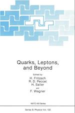 Quarks, Leptons, and Beyond