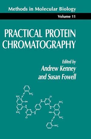 Practical Protein Chromatography