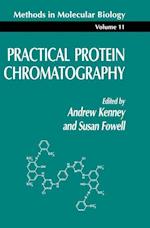 Practical Protein Chromatography