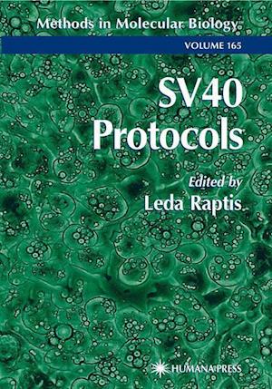 SV40 Protocols