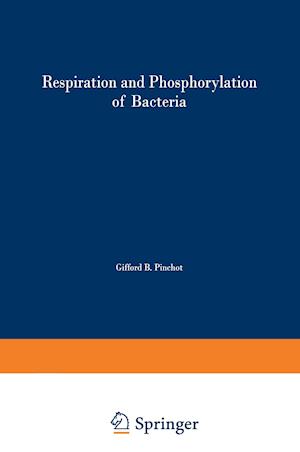 Respiration and Phosphorylation of Bacteria