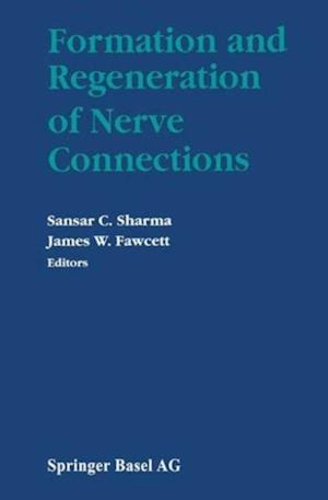 Formation and Regeneration of Nerve Connections