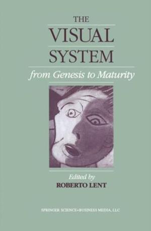 Visual System from Genesis to Maturity