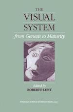 Visual System from Genesis to Maturity