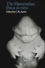 Mammalian Fetus in vitro
