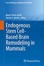 Endogenous Stem Cell-Based Brain Remodeling in Mammals