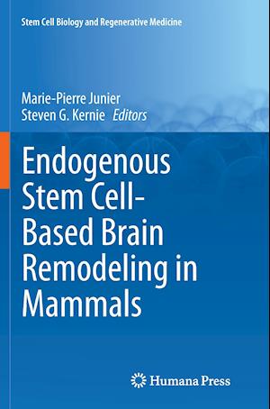 Endogenous Stem Cell-Based Brain Remodeling in Mammals