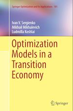 Optimization Models in a Transition Economy