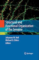 Structural and Functional Organization of the Synapse