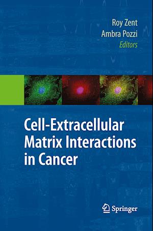 Cell-Extracellular Matrix Interactions in Cancer