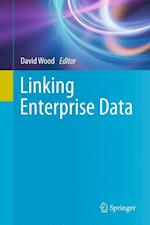 Linking Enterprise Data