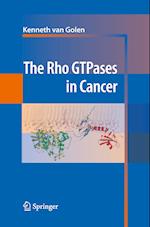 The Rho GTPases in Cancer