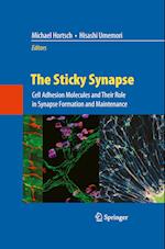 The Sticky Synapse