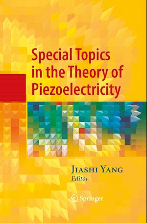 Special Topics in the Theory of Piezoelectricity