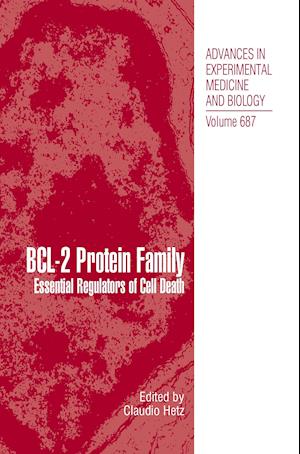 BCL-2 Protein Family