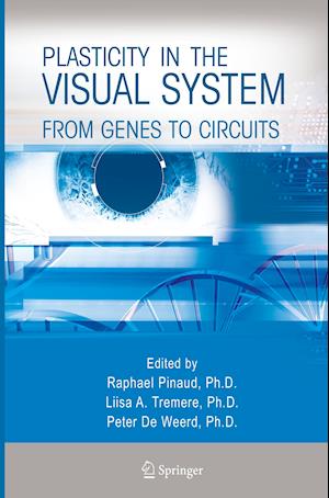 Plasticity in the Visual System