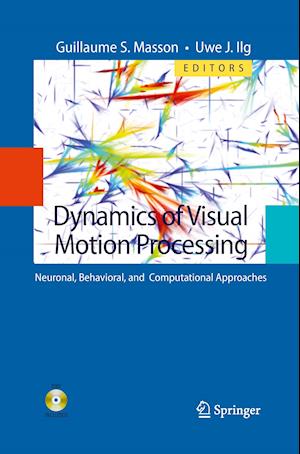 Dynamics of Visual Motion Processing