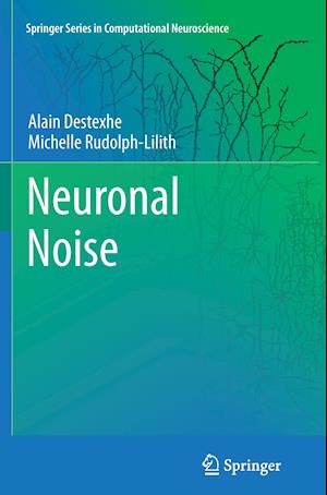 Neuronal Noise