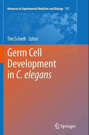 Germ Cell Development in C. elegans