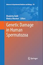 Genetic Damage in Human Spermatozoa