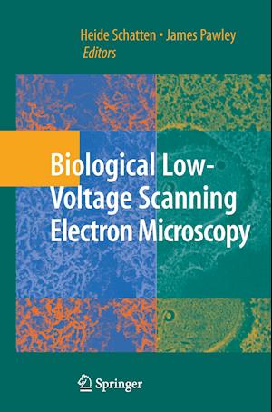 Biological Low-Voltage Scanning Electron Microscopy