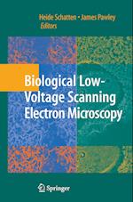 Biological Low-Voltage Scanning Electron Microscopy