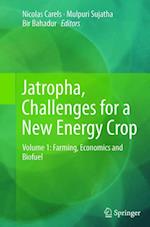 Jatropha, Challenges for a New Energy Crop