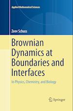 Brownian Dynamics at Boundaries and Interfaces