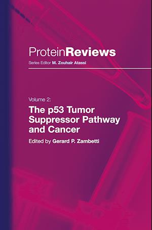 The p53 Tumor Suppressor Pathway and Cancer