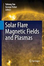 Solar Flare Magnetic Fields and Plasmas