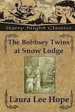 The Bobbsey Twins at Snow Lodge