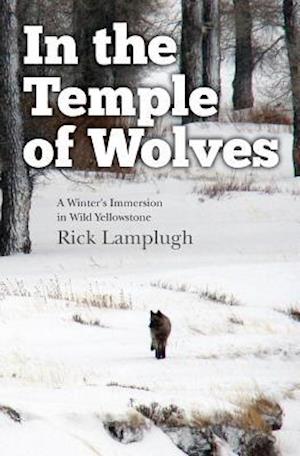 In the Temple of Wolves