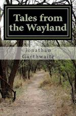 Tales from the Wayland