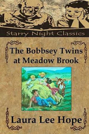 The Bobbsey Twins at Meadow Brook