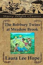 The Bobbsey Twins at Meadow Brook