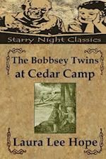 The Bobbsey Twins at Cedar Camp