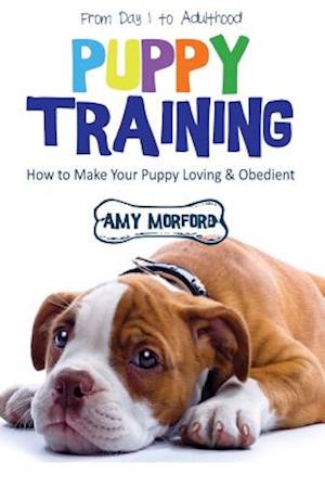 Puppy Training