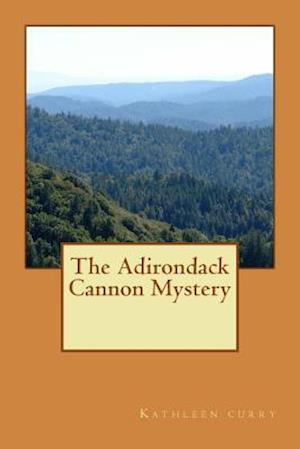 The Adirondack Cannon Mystery