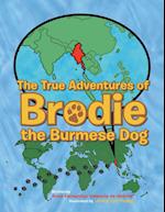 The True Adventures of Brodie the Burmese Dog