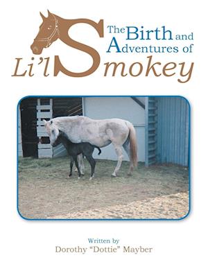 The Birth and Adventures of Lil Smokey