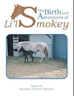 The Birth and Adventures of Lil Smokey