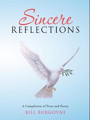 Sincere Reflections