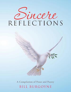 Sincere Reflections